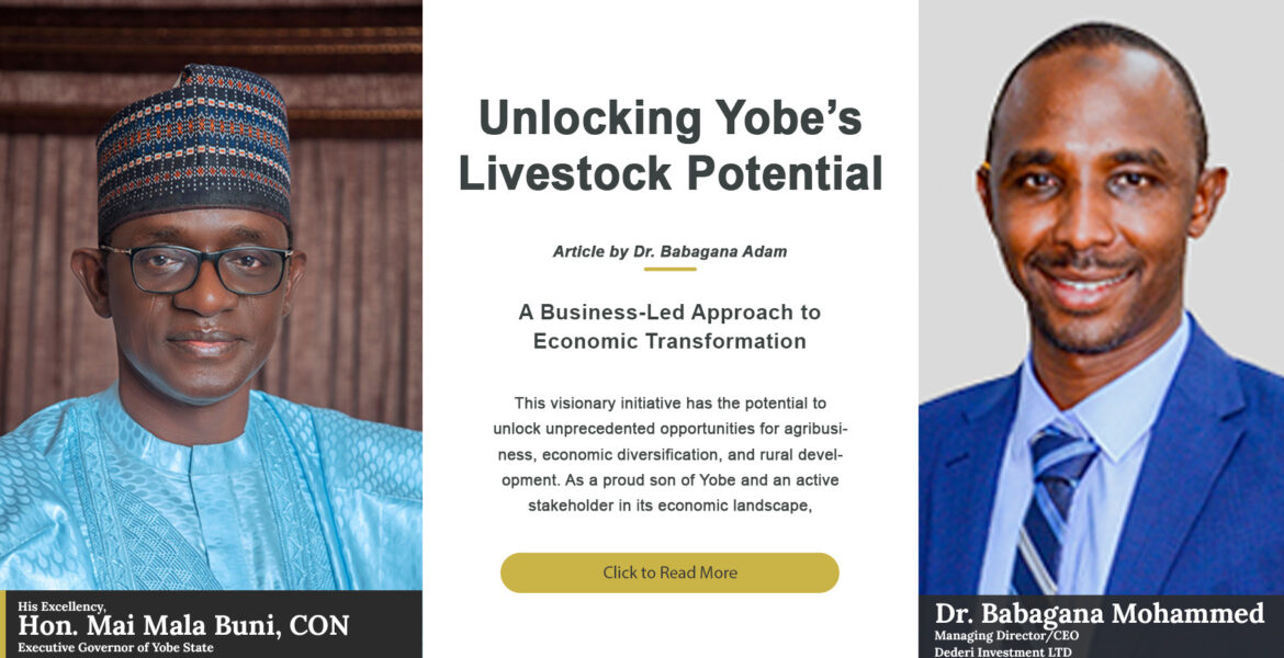 Yobe state Governor HD and CEO Dederi.