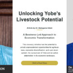 Yobe state Governor HD and CEO Dederi.